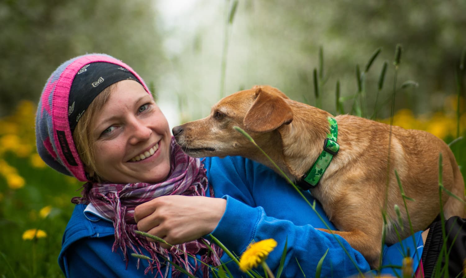 Adiestrador canino profesional en Madrid enseñando a un perro a sentarse en un parque con refuerzo positivo.