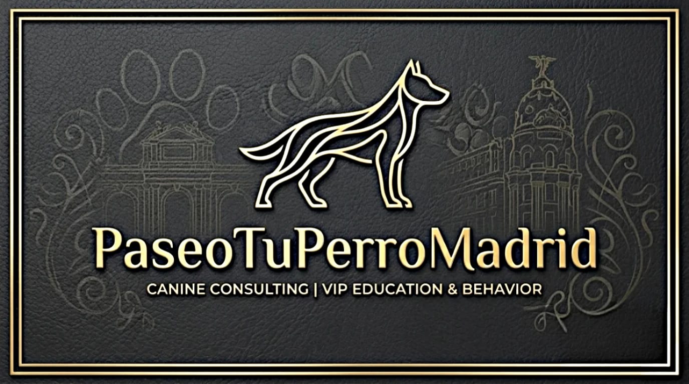 paseos para perros